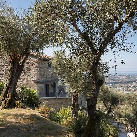 Mom'S Villa