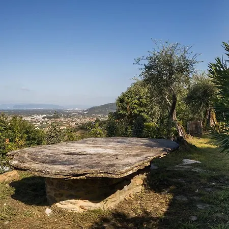 Mom'S Villa Bed & Breakfast Pietrasanta