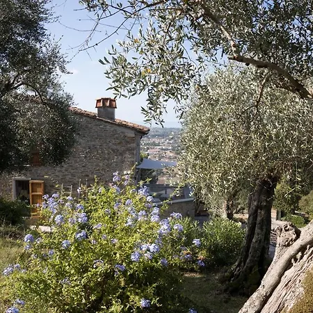 Bed & Breakfast Mom'S Villa Pietrasanta