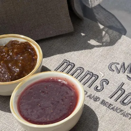 Mom'S Villa Bed & Breakfast Pietrasanta