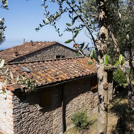 Mom'S Villa