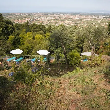 Mom'S Villa