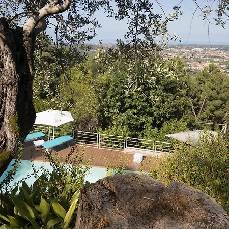 Mom'S Villa
